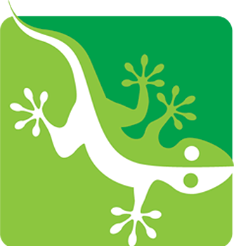 gecko-logo-def